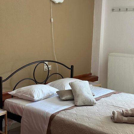 Luxury City Center Apartment Kalambaka Extérieur photo