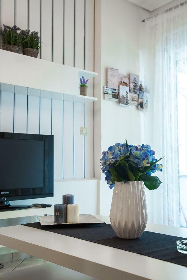 Luxury City Center Apartment Kalambaka Extérieur photo