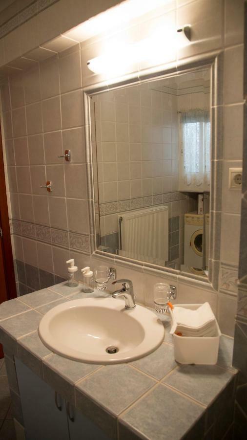Luxury City Center Apartment Kalambaka Extérieur photo